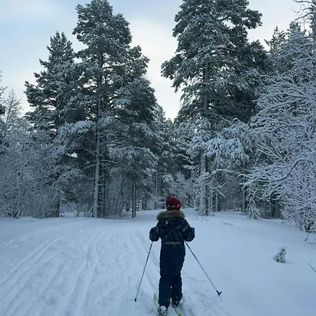 Timber With Hot Tub By Tracks Bjorli